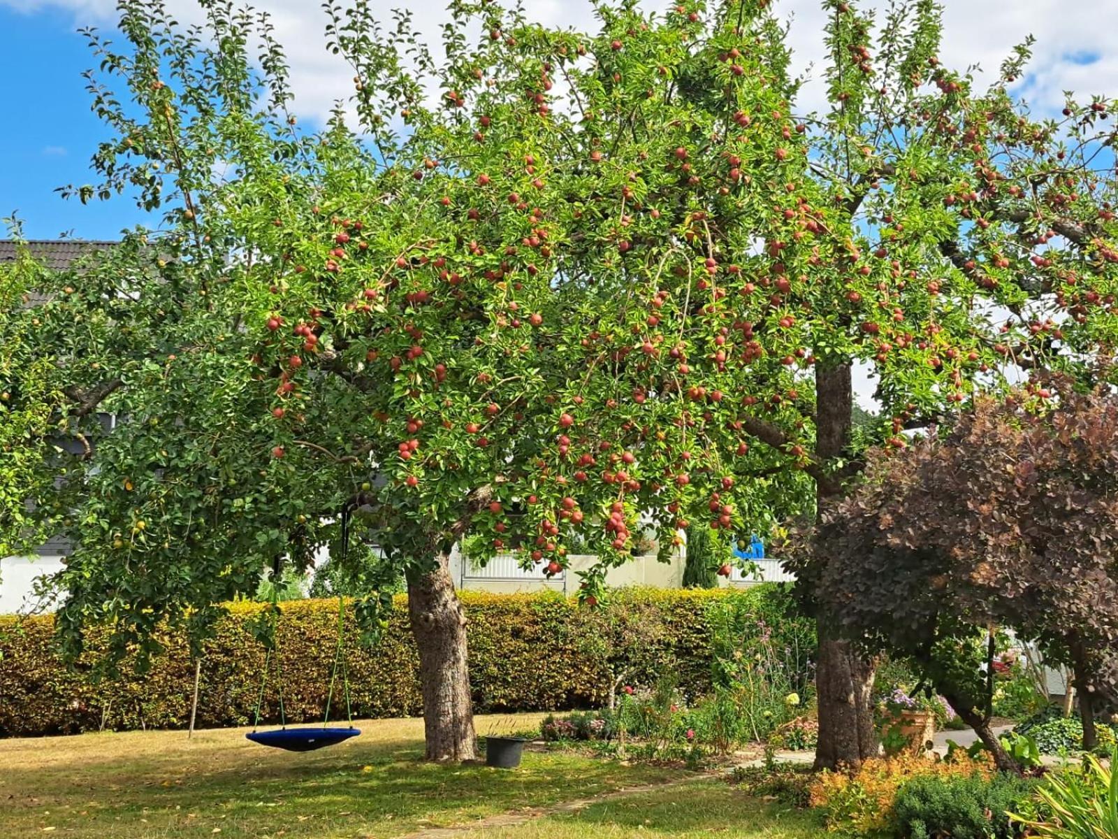 Haus Marianne Lägenhet Arnsberg Exteriör bild